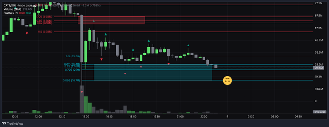 A TradingView chart showing the CAT/USDT trading pair with volume indicators, featuring Chinese annotations '强' (strong) and '弱' (weak) and Fibonacci retracement levels.