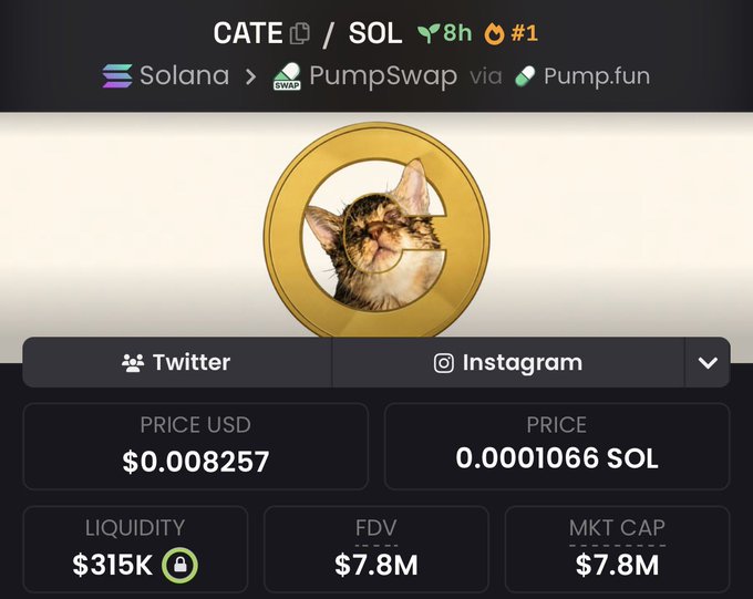 The image shows a crypto token page for "CATE/SOL" on Solana via PumpSwap, featuring a coin with a cat on it priced at $0.008257 (0.0001066 SOL) with $315K liquidity and a $7.8M market cap—the perfect visual punchline to the poster's realization that "CATE" is meant to be a play on the meme spelling convention, not actually the cat's name.