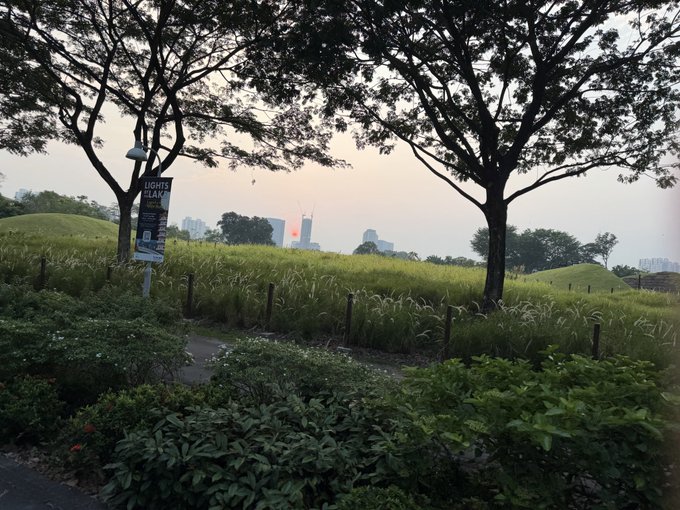 A park landscape with tall trees framing a view of distant city buildings at dusk, with a sign reading 'LIGHT & LARK' visible on the left.