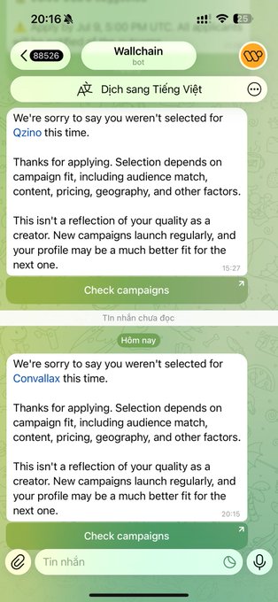 The image shows two rejection messages from Wallchain bot (translated as "Wallchải bot") on Telegram, both timestamped around 20:15-20:27, informing the user they weren't selected for campaigns labeled "QZino" and "Corvallax," explaining selection depends on audience match, content, pricing, and geography. This supports the post's complaint about not earning anything on Wallchain while comparing it unfavorably to Wallchain.