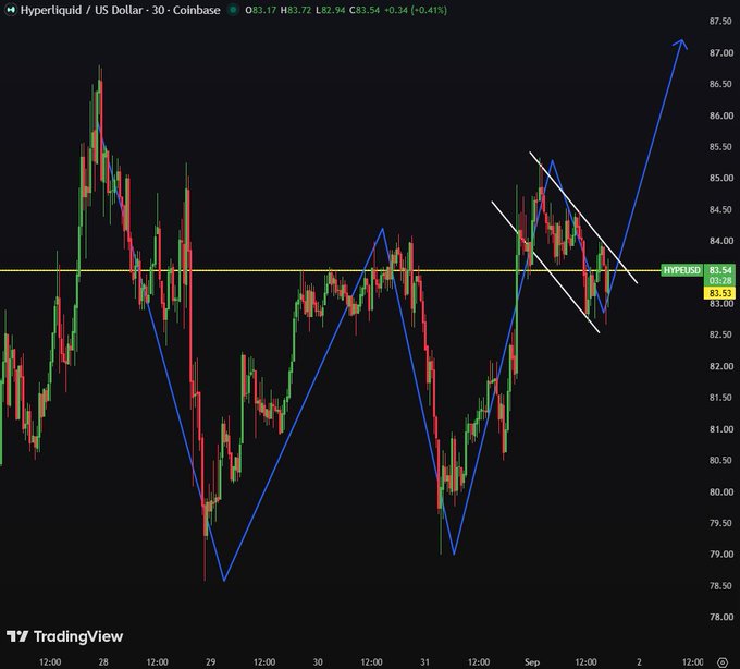 A TradingView 30-minute candlestick chart of Hyperliquid/US Dollar (HYPE/USD) on Coinbase shows the price at $83.54 (down 0.41%), with blue trendlines forming a W-shaped breakout pattern that breaks above a descending channel toward the $87 level.