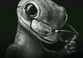 This image features a lizard wearing glasses, which has become a popular meme. The photo captures the lizard staring straight ahead with its eyes closed. The scene suggests that this funny-looking lizard is taking a break or looking at something without being distracted by it. In the accompanying text, someone made $1M using an advertisement technique involving a fake advertisement for a 20x long Bitcoin exchange. This humorous image seems to be related to cryptocurrency and marketing strategies, as people might find the idea of a lizard wearing glasses funny and intriguing enough to share or discuss on social media platforms.