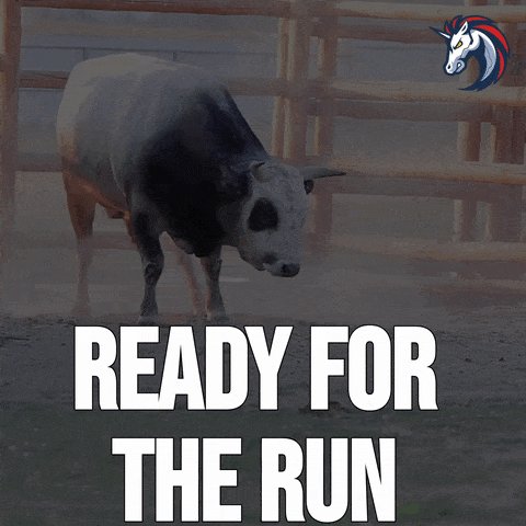 The image features a bull standing inside an enclosure, with its head down. The background of the image includes a wooden fence and a banner that reads "Ready for the run". This suggests that the bull might be preparing for a race or some other event where running is required.