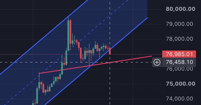 A cryptocurrency candlestick chart showing prices between 74,000 and 80,000, with the current price displayed at 76,985.01, featuring blue trend channels and a red moving average line.