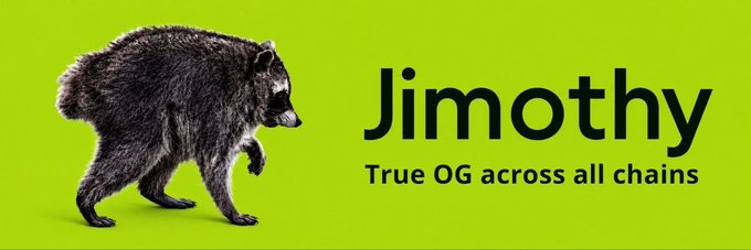 Banner featuring a raccoon walking on a green background with the text 'Jimothy - True OG across all chains.'