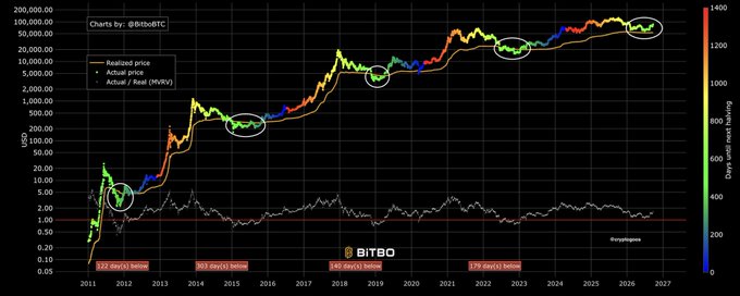 This chart, created by @BitsBeBTC, tracks Bitcoin's actual price (rainbow-colored line) against its realized price (orange line) from 2011 to 2027, with a lower panel showing days since halving. White circles highlight previous bear markets where actual price dipped below realized price, but the post emphasizes that the most recent circle on the right shows Bitcoin maintaining price above realized price—marking the first historical instance of the bear market not sweeping below this key on-chain metric.