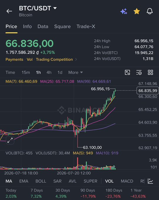 A Binance trading chart for BTC/USDT shows Bitcoin priced at 66,836.00 USDT, up 3.75%, with a 1-hour candlestick chart displaying moving averages and a 24-hour volume of 1.31B USDT.