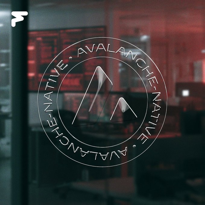 The image features a logo for an organization named "Avalanches native", which is a part of the Avalanche native series. The logo consists of two mountains with the word "native" written around them, creating a circular design. The text "Built on Avalanche" is also present in the logo. This suggests that the organization's focus lies in promoting and supporting native businesses or initiatives within the Avalanche native community.