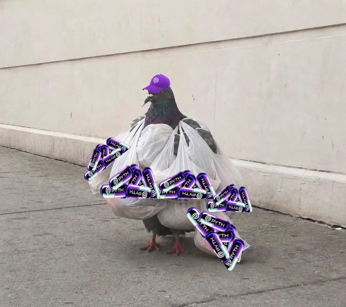 A pigeon standing on a sidewalk wearing a purple cap and draped in multiple plastic bags branded 'PYTH' and 'HLAB', appearing to carry e-commerce or promotional items.