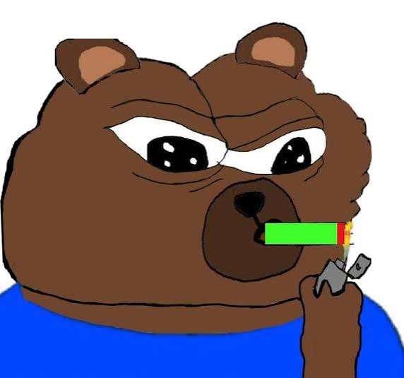 A cartoon brown bear with a scowling expression holding a green object and a crumpled item in its paws, wearing a blue shirt.