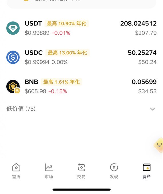 A mobile cryptocurrency portfolio screen showing balances of USDT (208.024512, $207.79), USDC (50.25274, $50.24), and BNB (0.05699, $34.53), with navigation tabs in Chinese for Home, Market, Trade, Discover, and Assets.