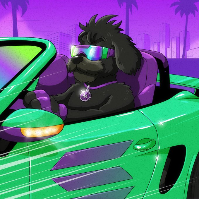 A black shaggy dog wearing neon sunglasses and an "M" necklace chills behind the wheel of a green convertible set against a purple skyline, embodying a laid-back cruising vibe. The image complements the post's message of trusting the process—showing that even on slow days, steady progress (like a smooth drive forward) keeps momentum building.