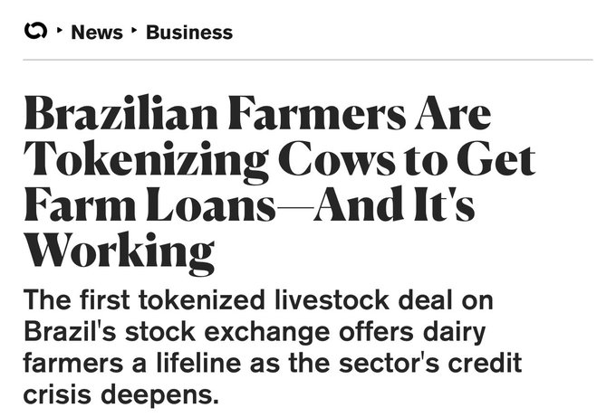 A news headline reading 'Brazilian Farmers Are Tokenizing Cows to Get Farm Loans—And It's Working,' describing the first tokenized livestock deal on Brazil's stock exchange.