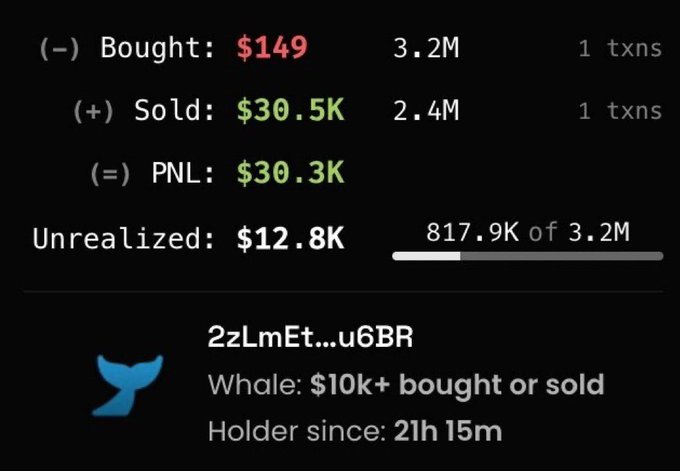 A trading interface displays a transaction summary showing 3.2M tokens bought for $149, with $30.5K sold and $30.3K in PNL, plus $12.8K in unrealized gains on 817.9K remaining tokens, belonging to a whale wallet (2zLmEt...u6BR) active for 21h 15m.