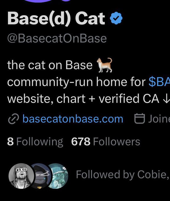 A Twitter/X profile for "Base(d) Cat" (@BasecatOnBase), described as "the cat on Base" and a community-run hub for $BA... tokens, with 678 Followers and 8 Following, followed by Cobie. The accompanying post "^ ^" reflects the playful, cat-themed aesthetic of the account.