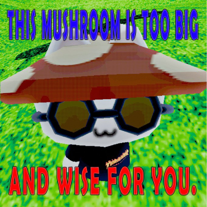 A meme image of a 3D mushroom character wearing sunglasses with the text 'THIS MUSHROOM IS TOO BIG' in blue and 'AND WISE FOR YOU.' in red.