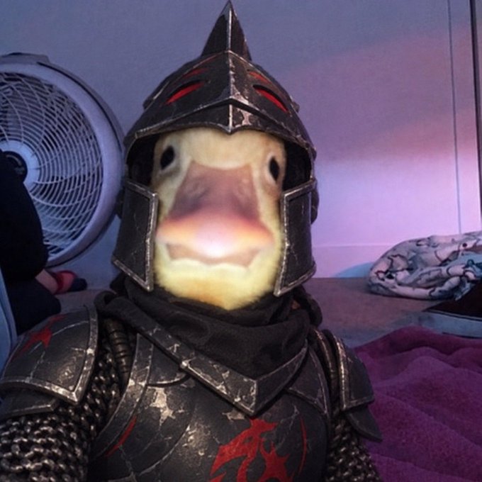 A person wearing dark, weathered knight armor with a red emblem on the chest has a distorted duck face with a glowing mouth superimposed over their helmet.
