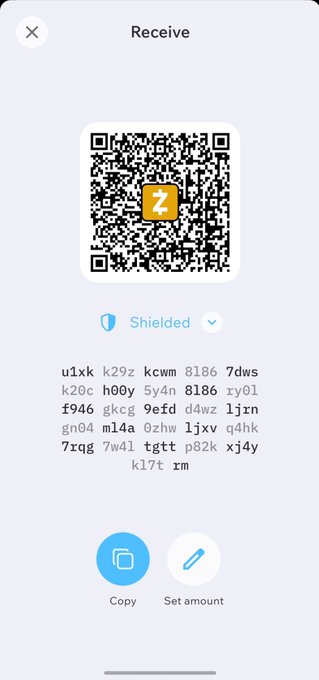 A mobile crypto wallet 'Receive' screen showing a Zcash (ZEC) QR code, a shielded address, and options to copy or set amount.