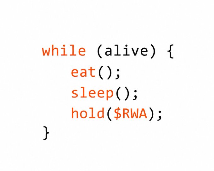 A minimalist orange and black code snippet styled as pseudocode that reads 'while (alive) { eat(); sleep(); hold($RWA); }' — a humorous take on a crypto investor's lifestyle.