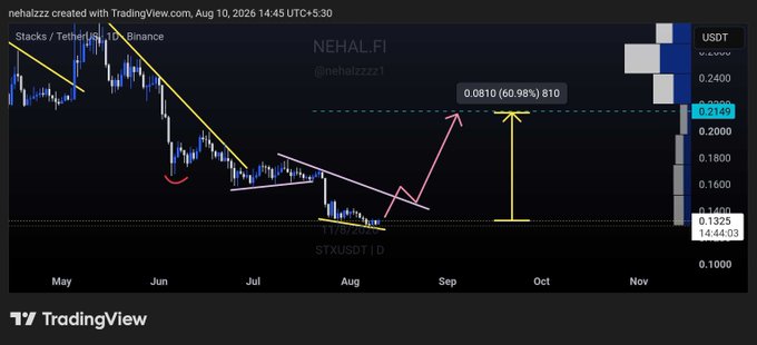 A TradingView chart of NEHAL.FI ($nehalzzz1) on STX/USDT showing a technical analysis with descending trendlines and a projected price target of 0.0810 (60.98%) by October 2025.