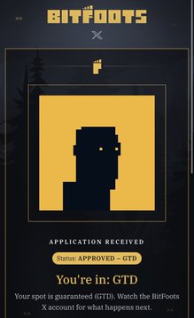A pixelated Bitfoots application confirmation screen with the text 'BITFOOTS', 'APPLICATION RECEIVED', 'Status: APPROVED - GTD', and 'You're in: GTD' displayed alongside a yellow pixel art character.