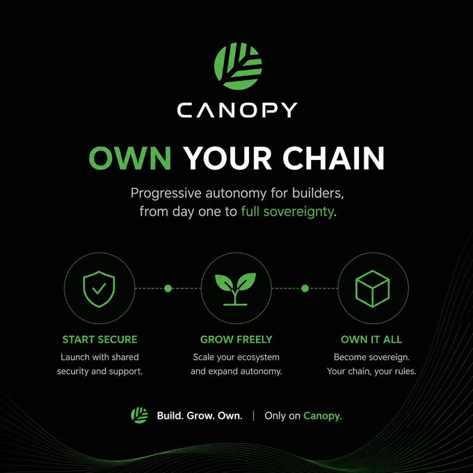 The image features a poster for a company called "CNPY". The poster has three different icons representing the stages of growth for an individual's ownership in a cryptocurrency. These stages include "Start Secure", "Grow Freely", and "OWN IT ALL". Each icon is accompanied by text that explains what it represents, such as "Progressive autonomy for builders" or "Scale your ecosystem with us". The poster also includes the company's logo and a tagline about ownership in crypto.