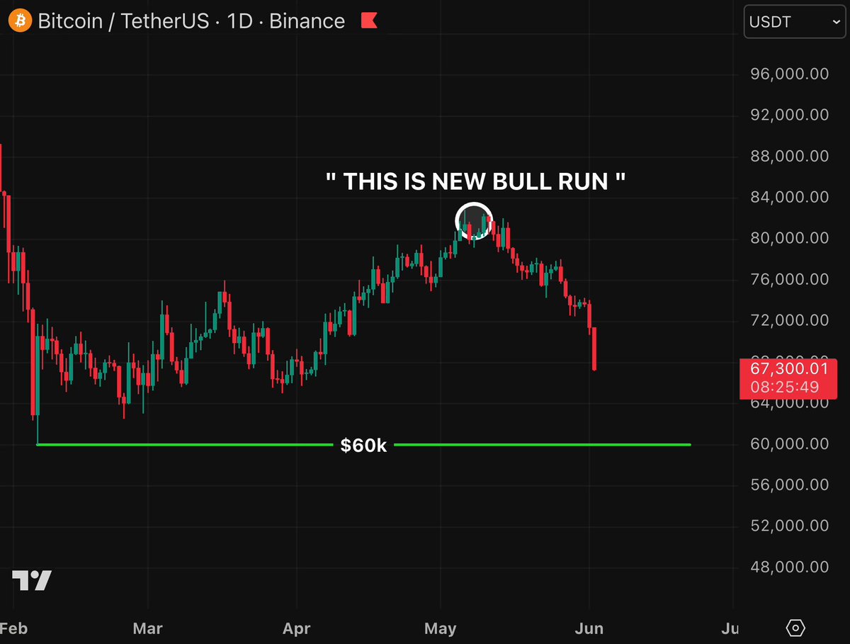 The image displays a graph with Bitcoin (BTC) trading on the x-axis and Bear Market Index (BMI) values on the y-axis, which seems to be tracking bear market trends. There's a red circle around the midpoint of the graph that reads "THIS IS NEW BULL RUN!". The post also mentions bulls in May and that $BTC is expected to gain more than $56K soon.