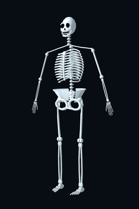 3D rendered white human skeleton standing against a dark background.