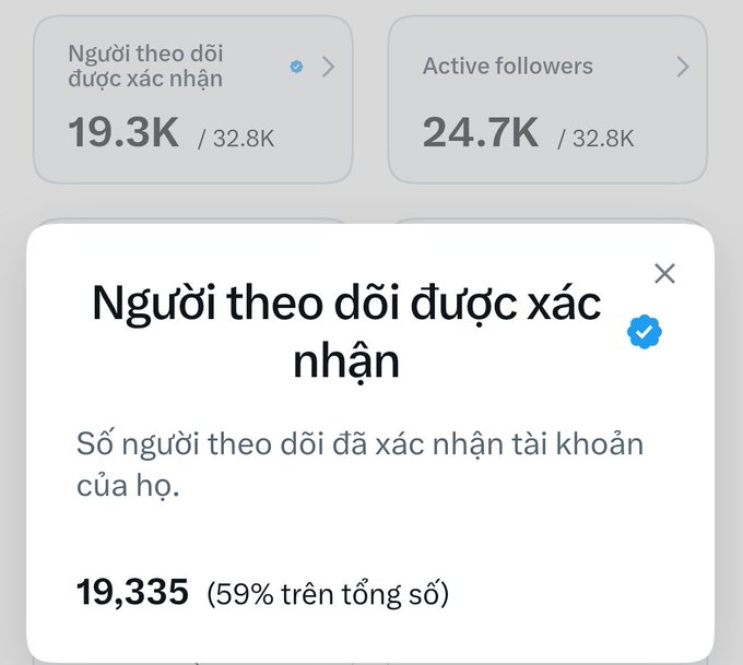 A social media analytics screenshot showing Vietnamese text "Người theo dõi được xác nhận" (Verified followers) at 19.3K out of 32.8K, with a pop-up explaining it represents 19,335 people (59% of the total).