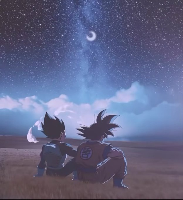 Anime artwork of Goku and Vegeta from Dragon Ball Z sitting together under a starry night sky with a crescent moon.