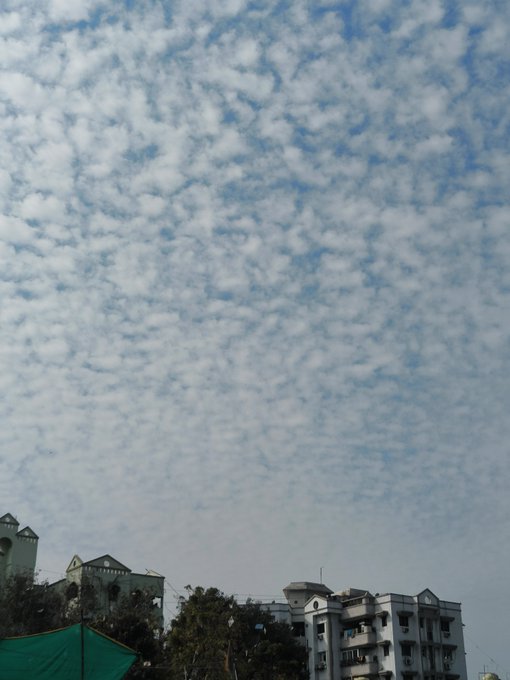 A sky filled with a dense pattern of small, dotted clouds above a row of residential buildings and trees.