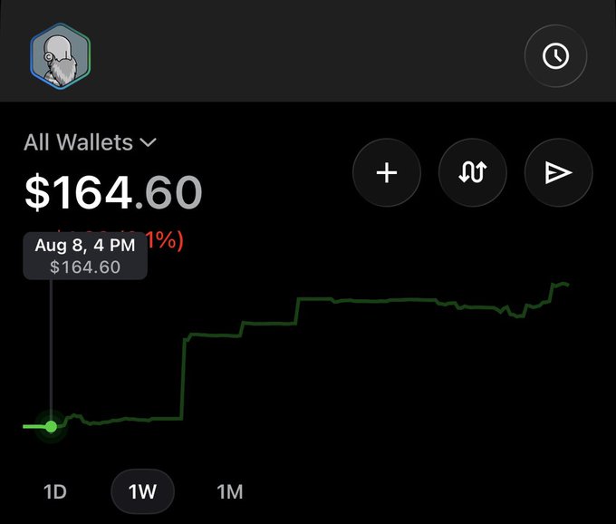 Dark-themed crypto wallet portfolio dashboard showing total balance of $164.60 across all wallets with a green line chart tracking 1-week performance.