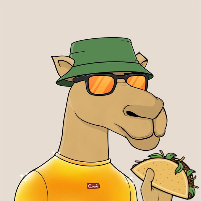 An illustration of a camel wearing a green bucket hat, orange sunglasses, and a yellow t-shirt with a 'Camels' logo, holding a taco.