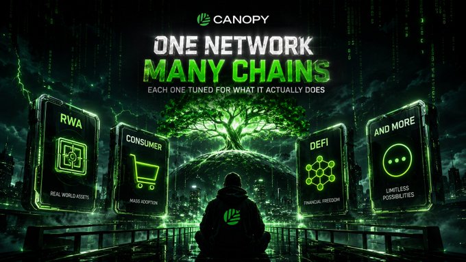 A promotional graphic for 'CANOPY' displaying the tagline 'ONE NETWORK MANY CHAINS - EACH ONE TUNED FOR WHAT IT ACTUALLY DOES', featuring cards labeled RWA, CONSUMER, DEFI, and AND MORE.