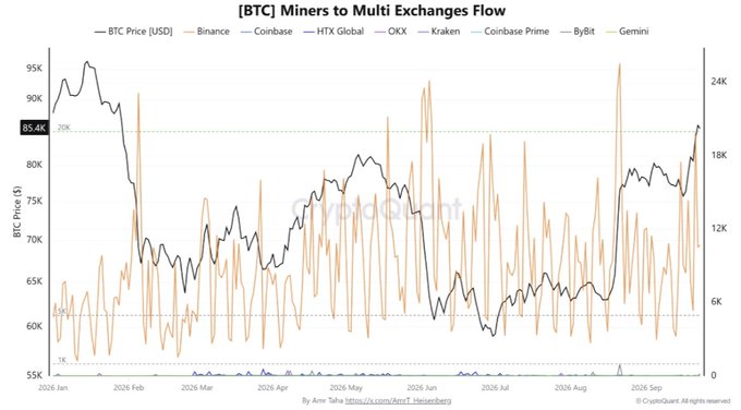[BTC] Miners to Multi Exchanges Flow chart by Amr Taha showing BTC price (ranging $55K-$95K) alongside miner inflows to exchanges Binance, Coinbase, HTX Global, OKX, Kraken, Coinbase Prime, ByBit, and Gemini from January to September 2026, with Binance flows notably spiking near 20K BTC, correlating with rising BTC prices around the $85K-$90K range.