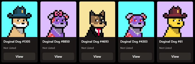 A row of five 'Doginal Dog' NFT cards from a pixel-art dog collection, with IDs #1305, #8850, #4693, #4303, and #61, all marked 'Not Listed' with a 'View' button.