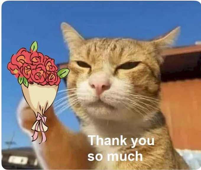 An orange tabby cat with a smug expression holding a bouquet of red roses (drawn/illustrated), with text "Thank you so much" overlaid at the bottom against a blue sky background.
