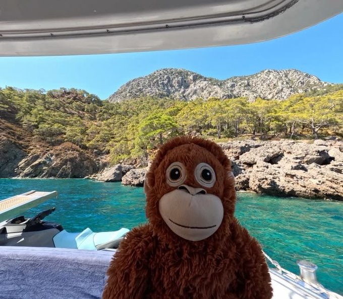 A brown stuffed orangutan toy sits on a boat with a stunning view of turquoise water, rocky cliffs, and mountains in the background.