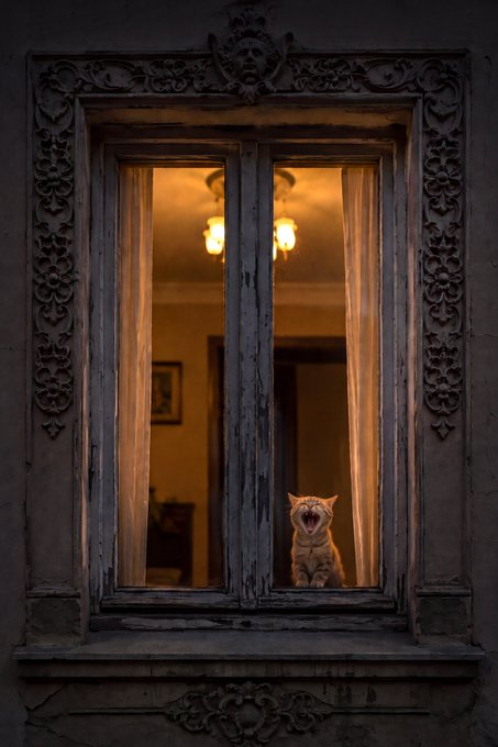 [caption-failed: minimax unavailable]