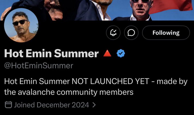 A screenshot of the X (Twitter) profile for "Hot Emin Summer" (@HotEminSummer), which displays a bio stating "Hot Emin Summer NOT LAUNCHED YET - made by the avalanche community members" and shows the account joined in December 2024. The image relates to the accompanying post announcing the upcoming AVAX-based meme coin project.