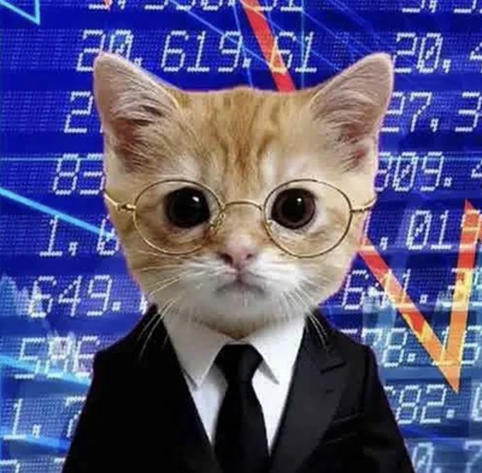 A humorous edited image of an orange and white cat wearing round glasses and a business suit, superimposed over a background of stock market figures, charts, and a red downward arrow.