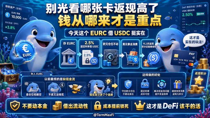 A colorful Chinese-language DeFi promotional graphic for EURC/USDC featuring cartoon dolphins, with text reading '别光看哪张卡返现高了 钱从哪来才是重点' and 'TermMaxFi', highlighting 2.5% fixed returns.