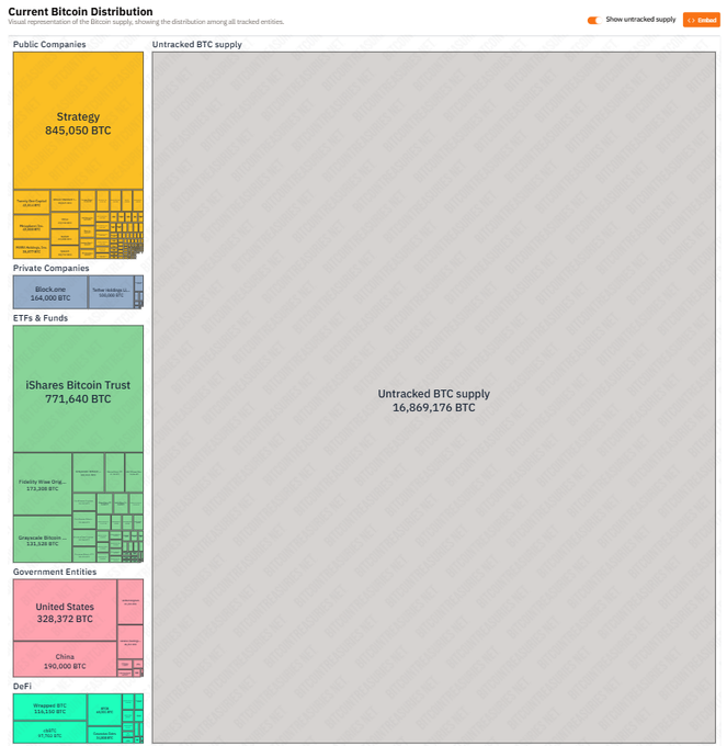 A treemap visualization titled 'Current Bitcoin Distribution' showing BTC holdings across categories: Public Companies (Strategy 845,050 BTC), Private Companies (Block.one 164,000 BTC), ETFs & Funds (iShares Bitcoin Trust 771,640 BTC), Government Entities (United States 328,372 BTC, China 190,000 BTC), and DeFi (Wrapped BTC 133,748 BTC), with untracked supply of 16,869,176 BTC.