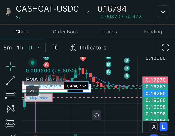 A trading chart displays the CASHCAT-USDC pair at 0.16794, showing a +5.47% gain with notable buy signals (B) and one sell signal (S), supporting the post's claim of a large trader accumulating $CASHCAT on Hyperliquid. The visible bid/ask orders and rising price action reinforce the "Put the cash in the cat" rallying message.