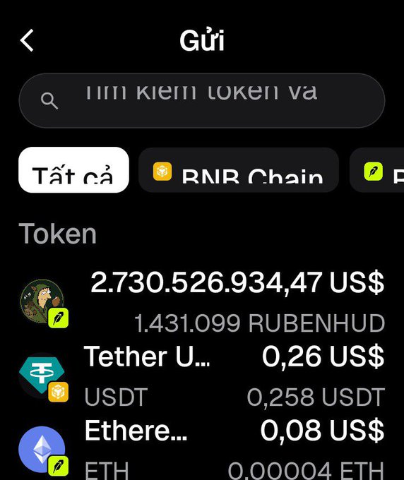 A mobile wallet interface in Vietnamese showing a token list with a search for token va, displaying balances including 1.431.099 RUBENHUD, Tether USDT, and Ethereum ETH.
