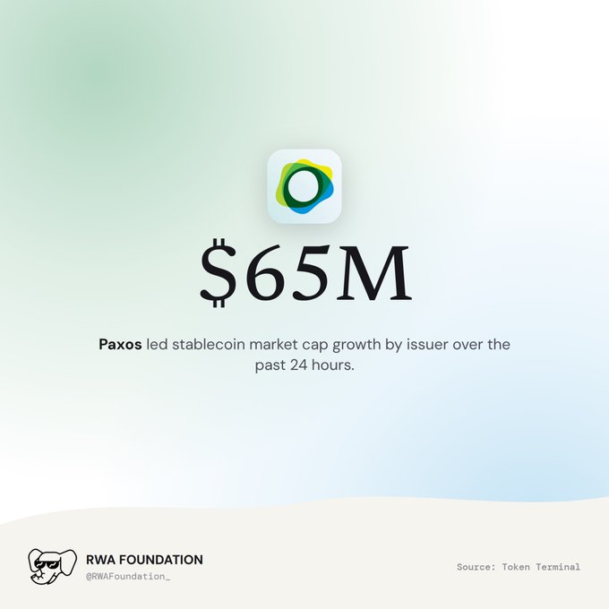 A promotional graphic from RWA Foundation (@RWAFoundation_) featuring the Paxos logo above the figure "$65M," with text stating "Paxos led stablecoin market cap growth by issuer over the past 24 hours," crediting Token Terminal as the source.