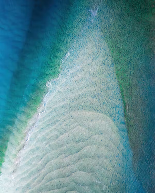 An aerial view of turquoise ocean water with a sandbar or shallow reef creating lighter patterns, possibly evoking the "Sharks Tooth" shape referenced in the artwork title. The post mentions this is one of two works by @newlightvisuals being auctioned, with @osseneth leading the bidding on both pieces.