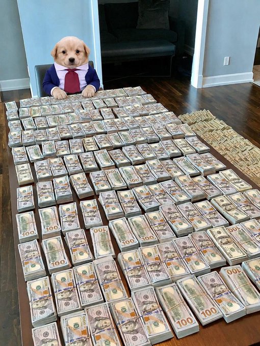 A golden retriever puppy wearing a suit sits behind a massive table stacked with what appears to be prop $100 bills and gold bars, humorously illustrating the post's caption about aspiring to significant wealth "by the end of this bull run."