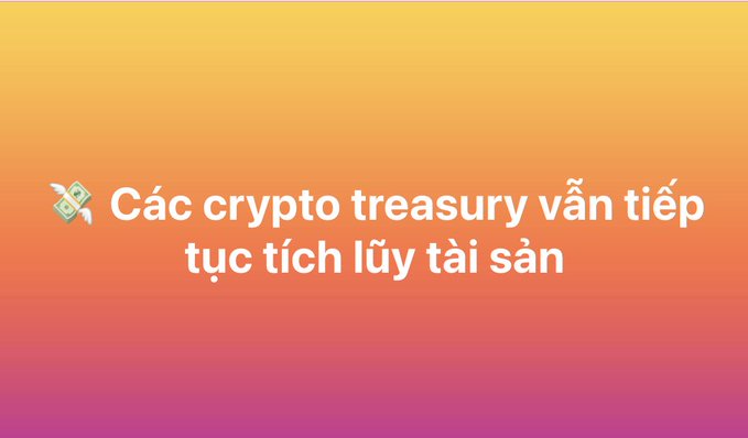 A graphic with an orange-to-pink gradient background featuring a money emoji and Vietnamese text reading 'Các crypto treasury vẫn tiếp tục tích lũy tài sản' (Crypto treasuries continue to accumulate assets).