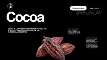 The image features a close-up view of three cocoa pods, with one of them being partially open. The background of the image is black, making the cocoa pods stand out prominently. The caption below the image reads "COCOA", which is related to the cocoa pod in focus. The image also includes text that says "Cocoa is a dark brown powder made from the Theobroma cacao tree".